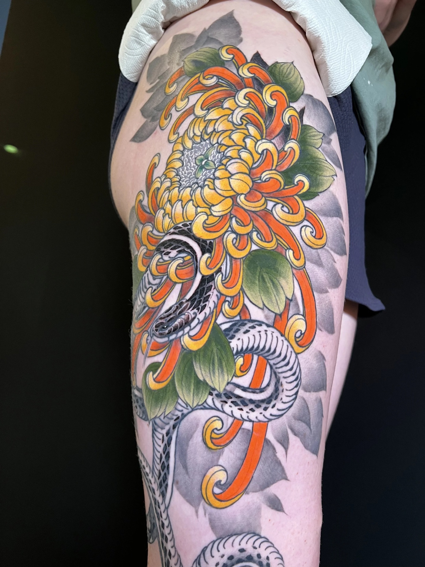 Chrysanthemum and snake colour leg by Levi Taylor, NEST Studio