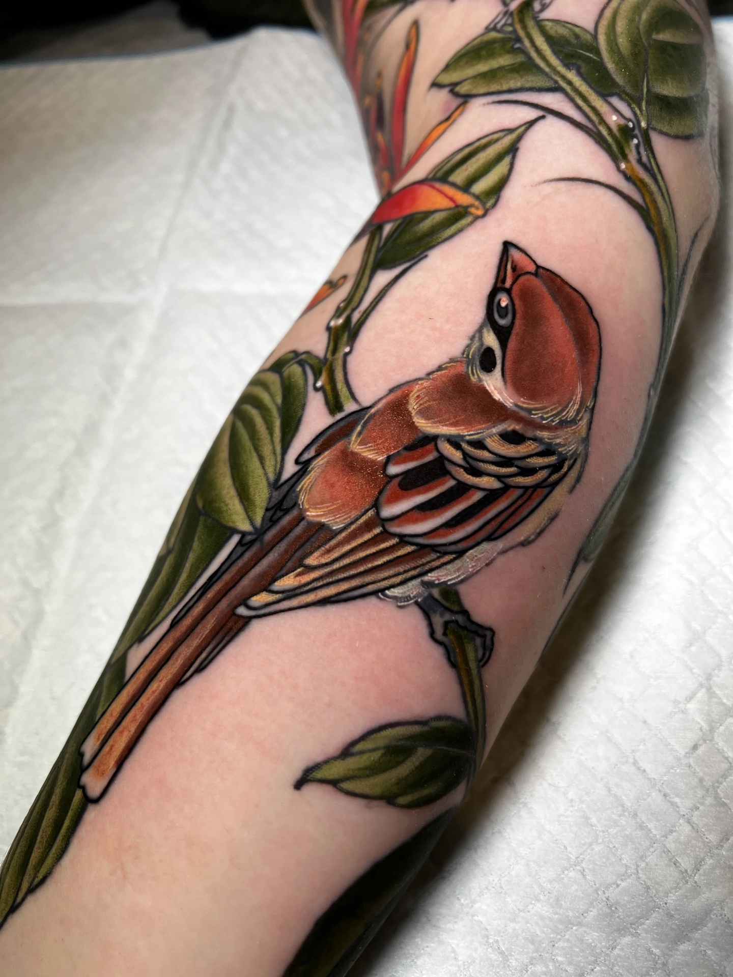 Sparrow and foliage colour forearm tattoo by Levi Taylor