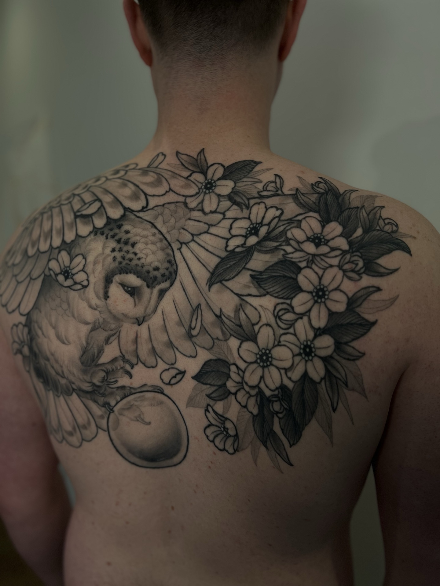 Black and grey owl and cherry blossom backpiece tattoo by Levi Taylor
